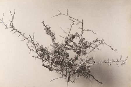 ausstellung hamburg