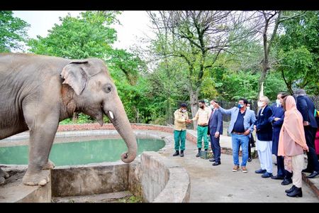Praesident und First Lady von Pakistan verabschieden sich von Elefant Kaavan
