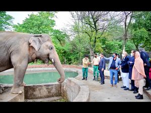 Praesident und First Lady von Pakistan verabschieden sich von Elefant Kaavan Praesident und First Lady von Pakistan verabschieden sich von Elefant Kaavan
