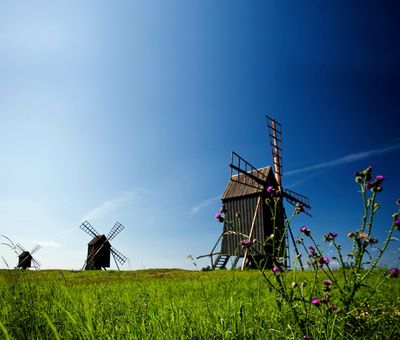 Reisen Oeland Schweden Windmuehlen auf Oeland Reisen Oeland Schweden Windmuehlen auf Oeland
