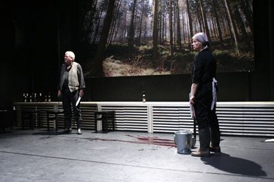 theater baden-baden VIEHJUD LEVI