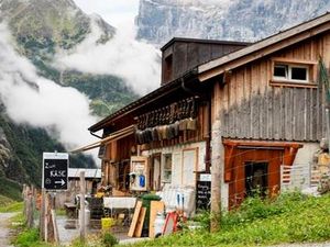 Zum Kaese hier entlang – die Alp Staefeli oberhalb von Engelberg in derZentralschweiz ist einer der acht Betriebe am neuen Alpkaese-Trail Zum Kaese hier entlang – die Alp Staefeli oberhalb von Engelberg in derZentralschweiz ist einer der acht Betriebe am neuen Alpkaese-Trail