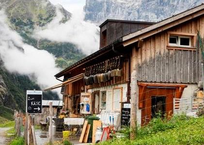Zum Kaese hier entlang – die Alp Staefeli oberhalb von Engelberg in derZentralschweiz ist einer der acht Betriebe am neuen Alpkaese-Trail