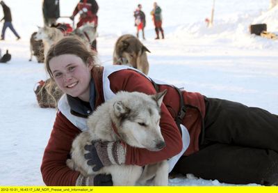 Die Husky-Familie - Ein Leben im Schnee