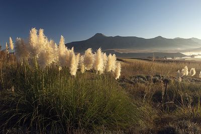 Reisen Suedafrika Landschaft Reisen Suedafrika Landschaft