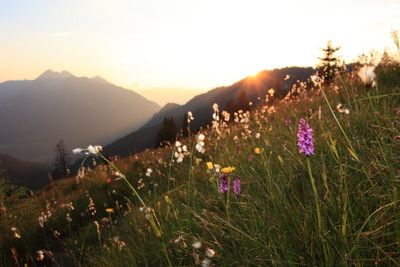 Reisen im Herbst Reisen im Herbst