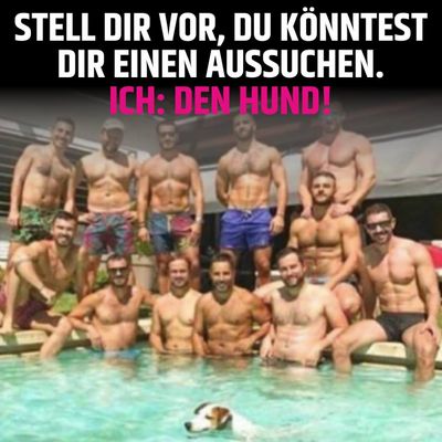 Der Hund ist ja auch intelligenter als die zwölf Halbstarken zusammen. Dieser Kommentar von Michael Hesemann unter dem Foto, gefiel Facebook nicht