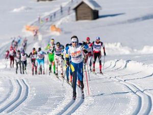 Beim legendären Dolomitenlauf in Lienz/Osttirol, Österreichs größter Langlaufveranstaltung, stellen sich Profis sowie Amateure den kräftezehrenden Herausforderungen in den Disziplinen Langlauf Classic und Freie Technik Beim legendären Dolomitenlauf in Lienz/Osttirol, Österreichs größter Langlaufveranstaltung, stellen sich Profis sowie Amateure den kräftezehrenden Herausforderungen in den Disziplinen Langlauf Classic und Freie Technik