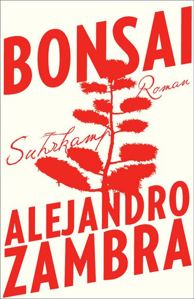 Liebesgeschichte von Alejandro Zambra