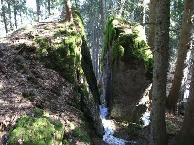 Waldspaziergang