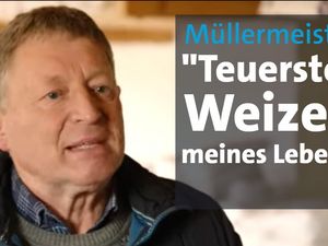 Ukraine-Krieg könnte auch außerhalb der Kriegsgebiete Tod für Millionen von Menschen bedeuten Ukraine-Krieg könnte auch außerhalb der Kriegsgebiete Tod für Millionen von Menschen bedeuten