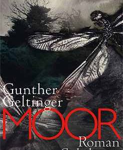 Roman von Gunther Geltinger Moor
