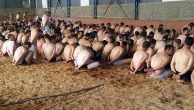 Die Soldaten werden wie Schweine behandelt