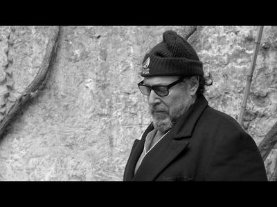 Julian Schnabel kommt nach Duesseldorf