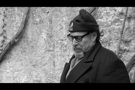 Julian Schnabel kommt nach Duesseldorf