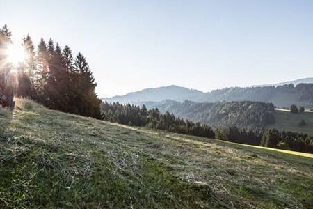 Im Frühsommer kümmert sich Hotelier und Landwirt Klaus Hauber von Haubers Naturresort in Oberstaufen persönlich um die Ernte des Allgäuer Bergheus auf den 1,3 Hektar hauseigenen Wiesen