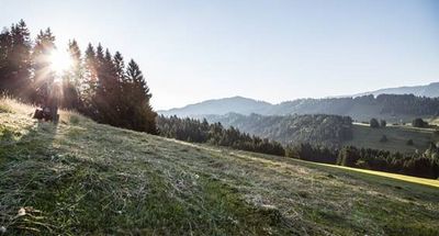 Im Frühsommer kümmert sich Hotelier und Landwirt Klaus Hauber von Haubers Naturresort in Oberstaufen persönlich um die Ernte des Allgäuer Bergheus auf den 1,3 Hektar hauseigenen Wiesen