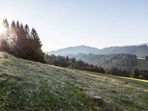 Im Frühsommer kümmert sich Hotelier und Landwirt Klaus Hauber von Haubers Naturresort in Oberstaufen persönlich um die Ernte des Allgäuer Bergheus auf den 1,3 Hektar hauseigenen Wiesen