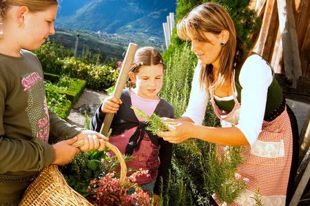 Im neuen Katalog der Dachmarke „Roter Hahn“ finden Interessierte auf 140 Seiten rund 600 Ferien-Bauernhöfe in ganz Südtirol – und garantiert auch den einen, der perfekt zu ihren individuellen Wünschen und Bedürfnissen passt. Die aktuelle Ausgabe von „Urlaub auf dem Bauernhof 2013“ liefert detaillierte Beschreibungen der ländlichen Domizile, außerdem erfährt der Leser Wissenswertes über die Regionen und die bäuerliche Kultur Südtirols. Dieses Jahr neu ist die Spezialisierung „Klimabauernhof“, für die sich bislang nur ein Mitgliedsbetrieb zertifizieren konnte.