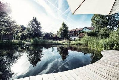 Der Naturbadeteich des Schlossgut Oberambach am Starnberger See kommt gaenzlich ohne Chemie aus