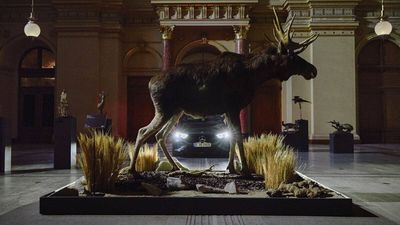 Vorsicht Elch - hier im Mercedes-Museum