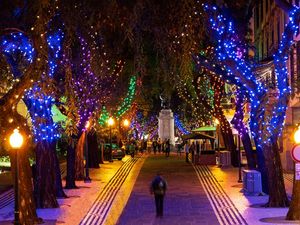 Weihnachten bei milden 20 Grad und jeder Menge Sonnenschein auf Madeira Weihnachten bei milden 20 Grad und jeder Menge Sonnenschein auf Madeira