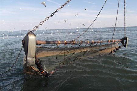 Dokumentation "Föhr" - Eine lohnende Reise in den Norden Deutschlands