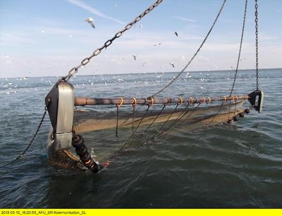 Dokumentation "Föhr" - Eine lohnende Reise in den Norden Deutschlands