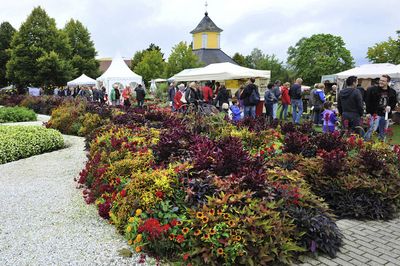 Reisen Bad Rappenau Gartenmesse