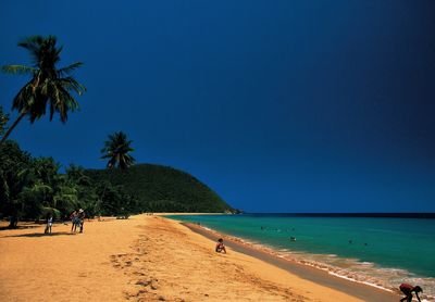 Reisen Basse Terrre Guadeloupe