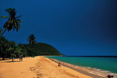 Reisen Basse Terrre Guadeloupe
