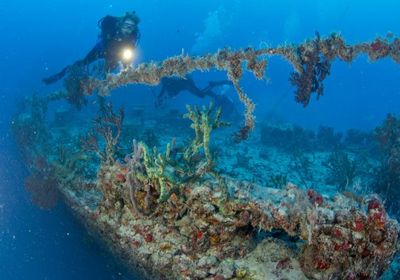 Reisen Florida Keys Taucher Spiegel Grove