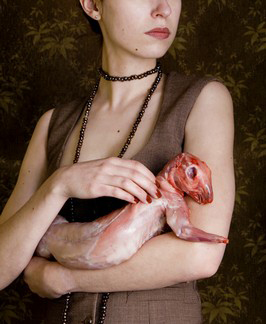 carina linge fotografie berlin carina linge fotografie berlin