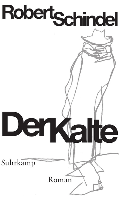 "Der Kalte" - Robert Schindels Auseinandersetzung mit den Erinnerungen Österreichs
