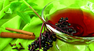 Essen und Trinken Hollerhoefe Holundersirup Essen und Trinken Hollerhoefe Holundersirup