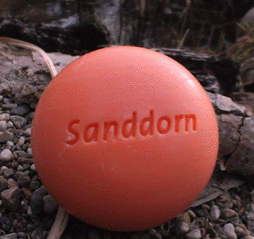 Sanddorn Seife Sanddorn Seife